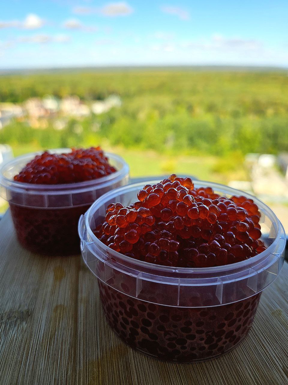 Икра кижуча крупным планом